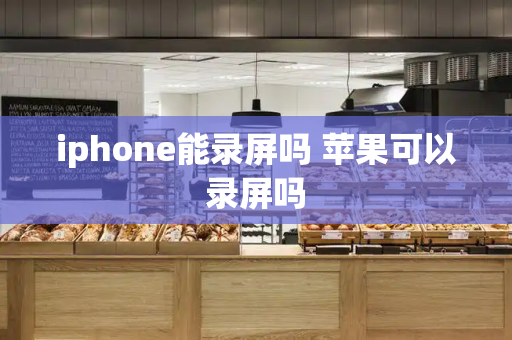 iphone能录屏吗 苹果可以录屏吗-第1张图片-星选测评