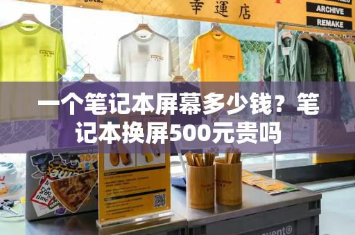 一个笔记本屏幕多少钱？笔记本换屏500元贵吗