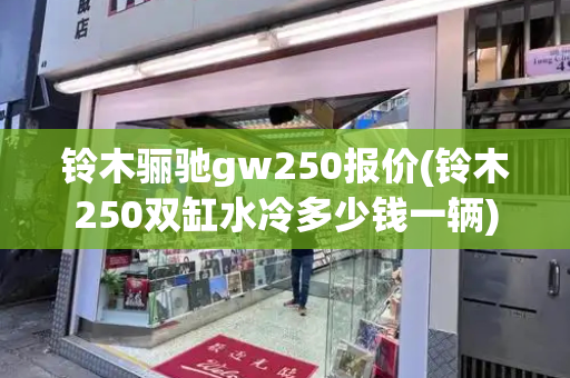 铃木骊驰gw250报价(铃木250双缸水冷多少钱一辆)-第1张图片-星选值得买