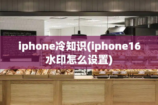 iphone冷知识(iphone16水印怎么设置)-第1张图片-星选测评