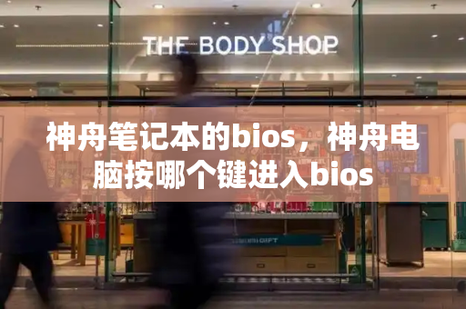 神舟笔记本的bios，神舟电脑按哪个键进入bios-第1张图片-星选测评