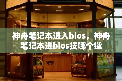 神舟笔记本进入bios，神舟笔记本进bios按哪个键