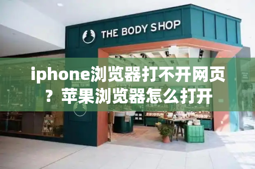 iphone浏览器打不开网页？苹果浏览器怎么打开-第1张图片-星选测评