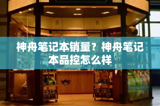 神舟笔记本销量？神舟笔记本品控怎么样