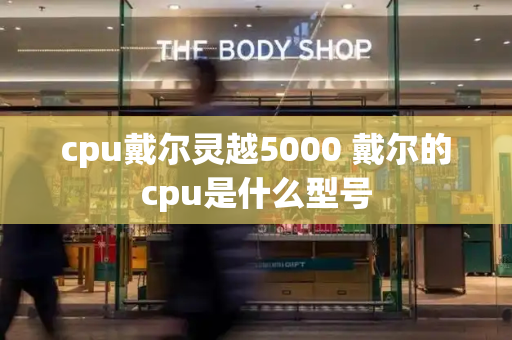 cpu戴尔灵越5000 戴尔的cpu是什么型号-第1张图片-星选测评