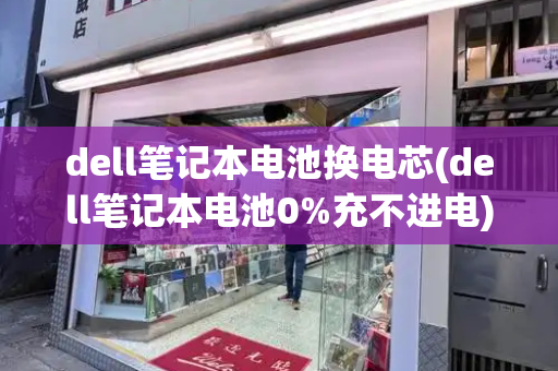 dell笔记本电池换电芯(dell笔记本电池0%充不进电)-第1张图片-星选测评