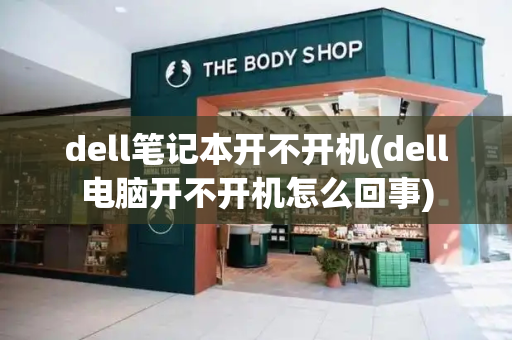 dell笔记本开不开机(dell电脑开不开机怎么回事)