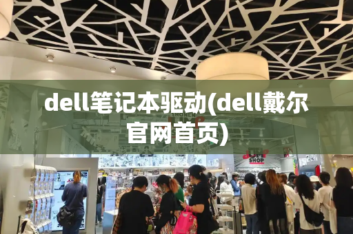 dell笔记本驱动(dell戴尔官网首页)-第1张图片-星选测评