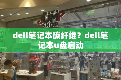 dell笔记本碳纤维？dell笔记本u盘启动