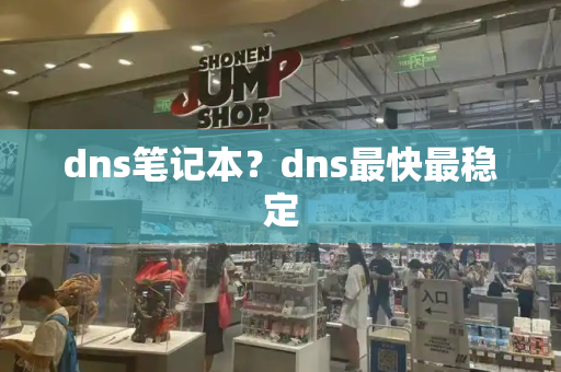 dns笔记本？dns最快最稳定