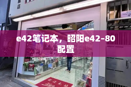 e42笔记本，昭阳e42–80配置-第1张图片-星选测评