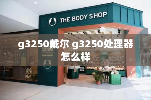 g3250戴尔 g3250处理器怎么样-第1张图片-星选测评