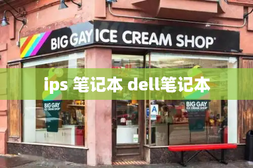 ips 笔记本 dell笔记本