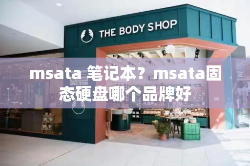 msata 笔记本？msata固态硬盘哪个品牌好-第1张图片-星选测评