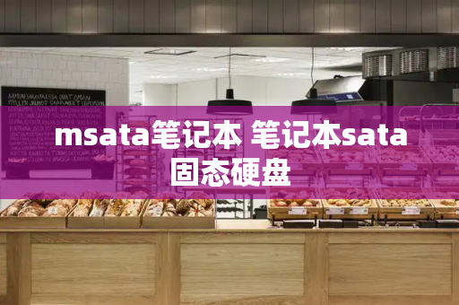 msata笔记本 笔记本sata固态硬盘-第1张图片-星选测评