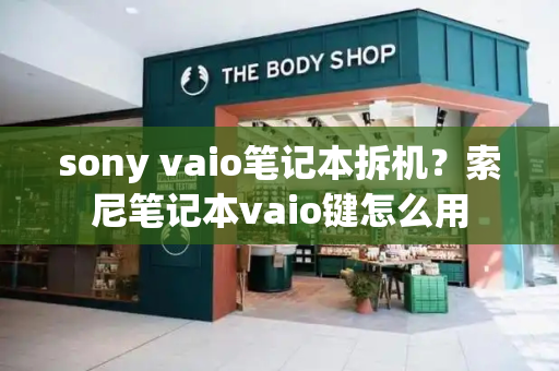 sony vaio笔记本拆机？索尼笔记本vaio键怎么用-第1张图片-星选测评