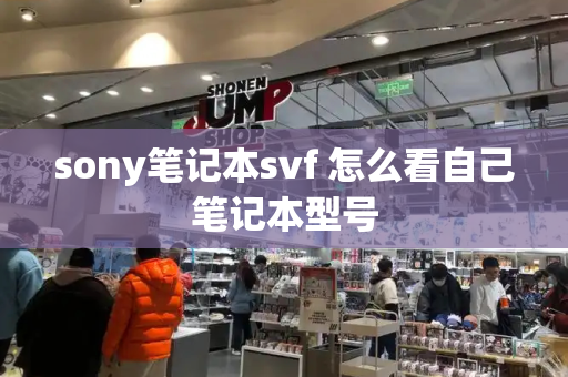 sony笔记本svf 怎么看自己笔记本型号-第1张图片-星选测评