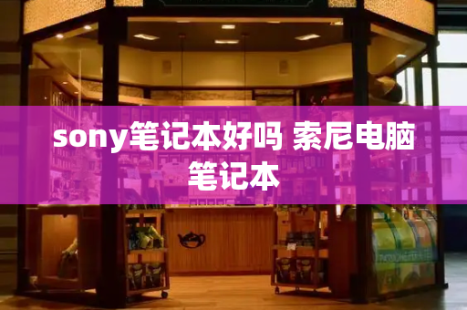 sony笔记本好吗 索尼电脑笔记本-第1张图片-星选测评