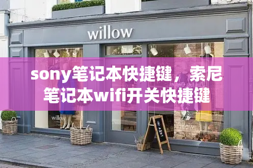 sony笔记本快捷键，索尼笔记本wifi开关快捷键-第1张图片-星选测评