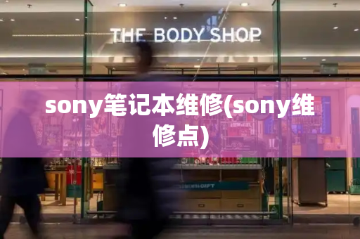 sony笔记本维修(sony维修点)-第1张图片-星选测评