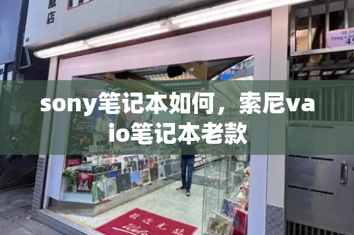 sony笔记本如何，索尼vaio笔记本老款-第1张图片-星选测评