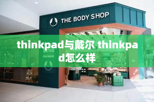 thinkpad与戴尔 thinkpad怎么样-第1张图片-星选测评