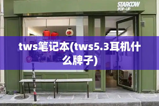 tws笔记本(tws5.3耳机什么牌子)-第1张图片-星选测评