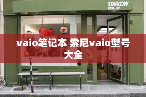 vaio笔记本 索尼vaio型号大全-第1张图片-星选测评