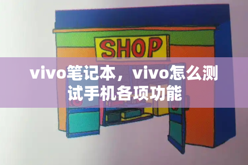 vivo笔记本，vivo怎么测试手机各项功能-第1张图片-星选测评