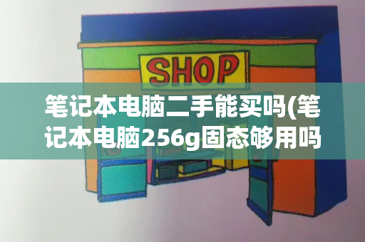 笔记本电脑二手能买吗(笔记本电脑256g固态够用吗)-第1张图片-星选值得买