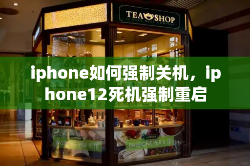 iphone如何强制关机，iphone12死机强制重启