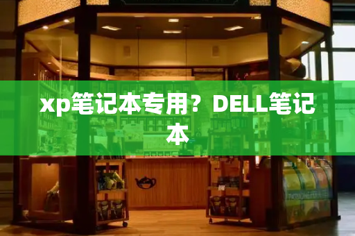 xp笔记本专用？DELL笔记本-第1张图片-星选测评