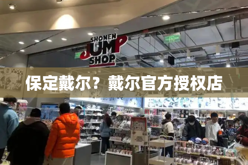 保定戴尔？戴尔官方授权店-第1张图片-星选测评