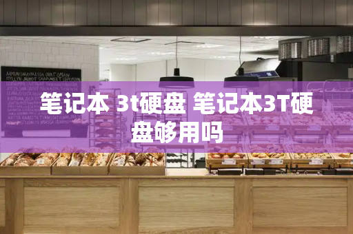 笔记本 3t硬盘 笔记本3T硬盘够用吗-第1张图片-星选测评
