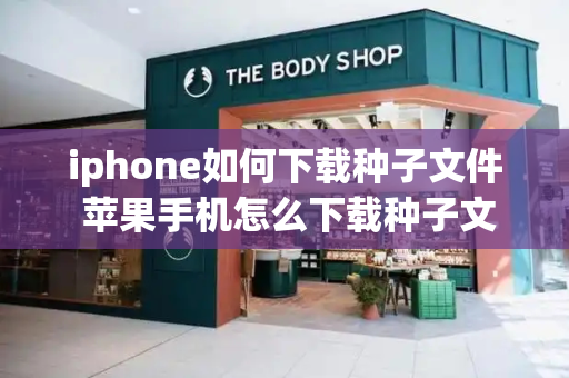 iphone如何下载种子文件 苹果手机怎么下载种子文件