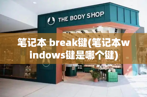 笔记本 break键(笔记本windows键是哪个键)-第1张图片-星选测评