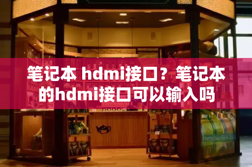 笔记本 hdmi接口？笔记本的hdmi接口可以输入吗