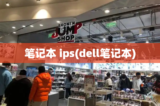 笔记本 ips(dell笔记本)