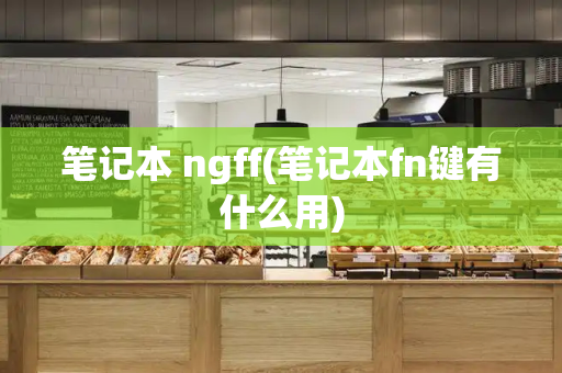 笔记本 ngff(笔记本fn键有什么用)