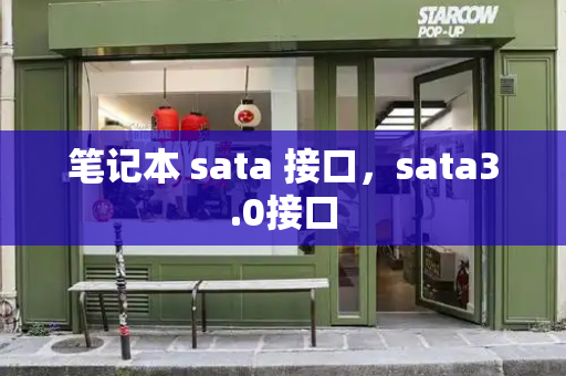 笔记本 sata 接口，sata3.0接口-第1张图片-星选测评