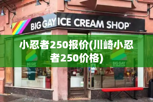 小忍者250报价(川崎小忍者250价格)