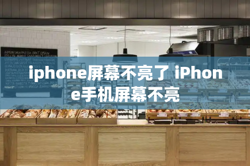 iphone屏幕不亮了 iPhone手机屏幕不亮-第1张图片-星选测评