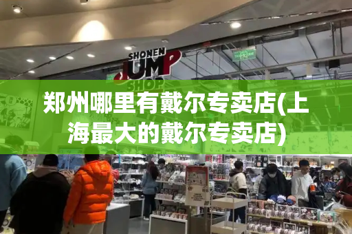 郑州哪里有戴尔专卖店(上海最大的戴尔专卖店)-第1张图片-星选测评