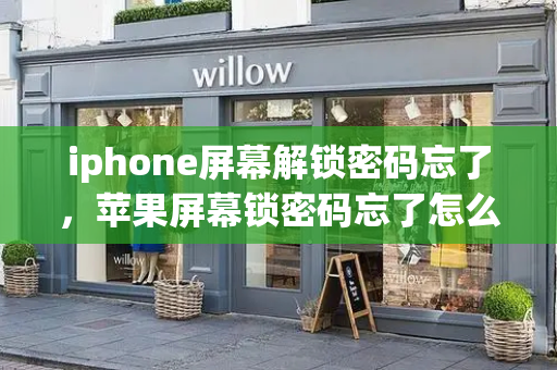 iphone屏幕解锁密码忘了，苹果屏幕锁密码忘了怎么办-第1张图片-星选测评