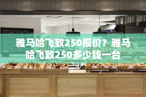 雅马哈飞致250报价？雅马哈飞致250多少钱一台