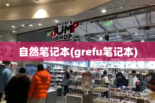 自然笔记本(grefu笔记本)-第1张图片-星选测评