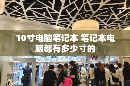 10寸电脑笔记本 笔记本电脑都有多少寸的-第1张图片-星选测评