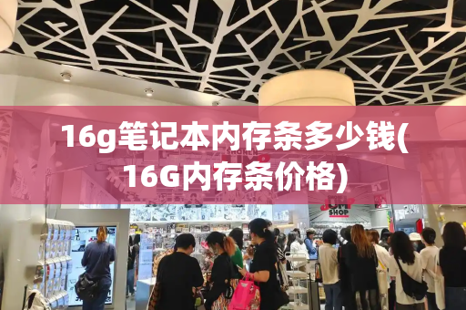 16g笔记本内存条多少钱(16G内存条价格)