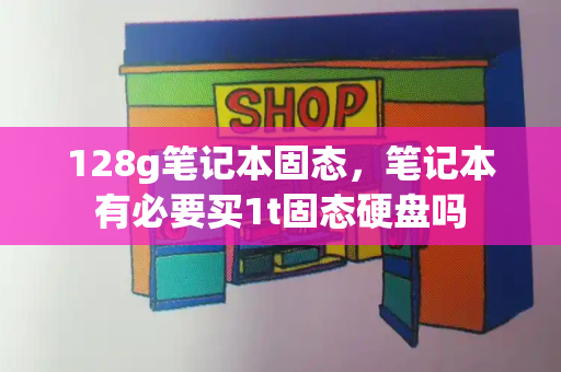 128g笔记本固态，笔记本有必要买1t固态硬盘吗