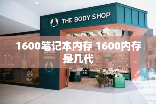 1600笔记本内存 1600内存是几代-第1张图片-星选测评